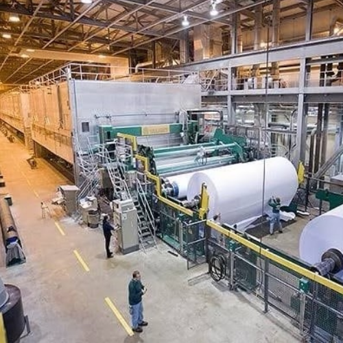 Paper & Pulp